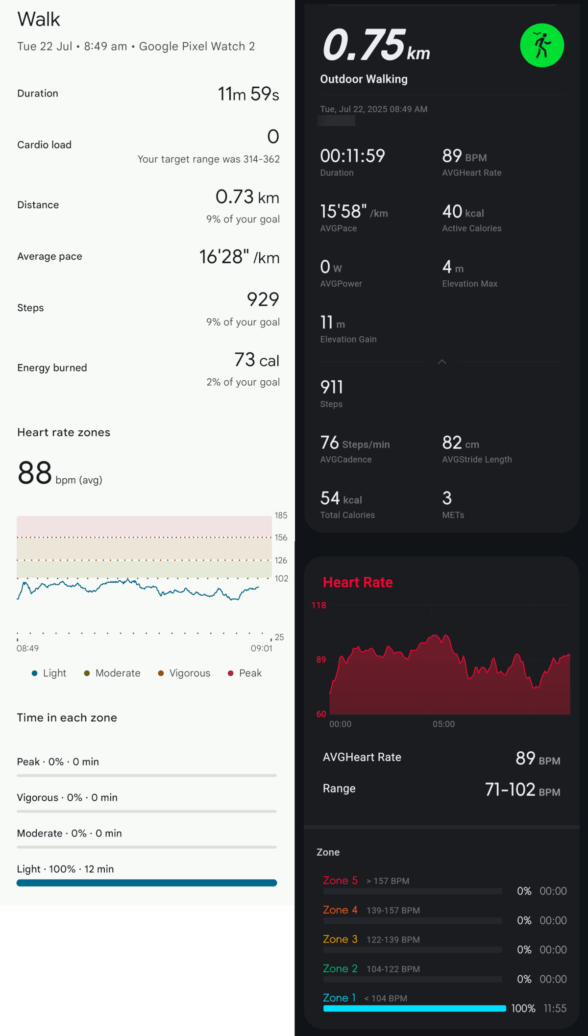 Paseo al aire libre del FT66 vs Pixel Watch 2